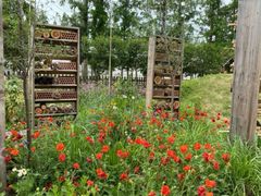 -前小桔亲子创意农场·草莓采摘·露营烧烤