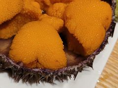 -桂马·日本料理·海胆·海鲜饭·酒场(民主广场店)
