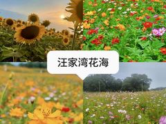 -老鼎万春卤菜(五代传承创始老店)