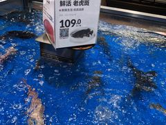 -盒马鲜生(顺义店)