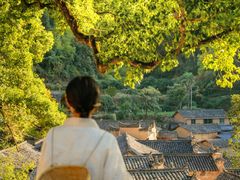 -杨家堂村