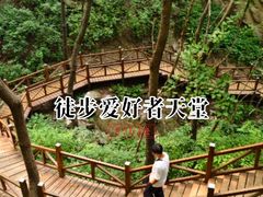-大岭沟猕猴桃谷风景区