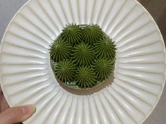 -猫里有甜