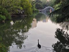 -西苑公园
