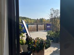 -昆山城市生态森林公园