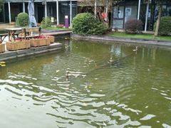 -宝界普菲特湖畔酒店