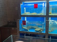 -湘满甲·黄焖甲鱼创始者·湘菜·鲁菜(潘家园店)
