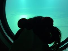 -白鹤梁水下博物馆