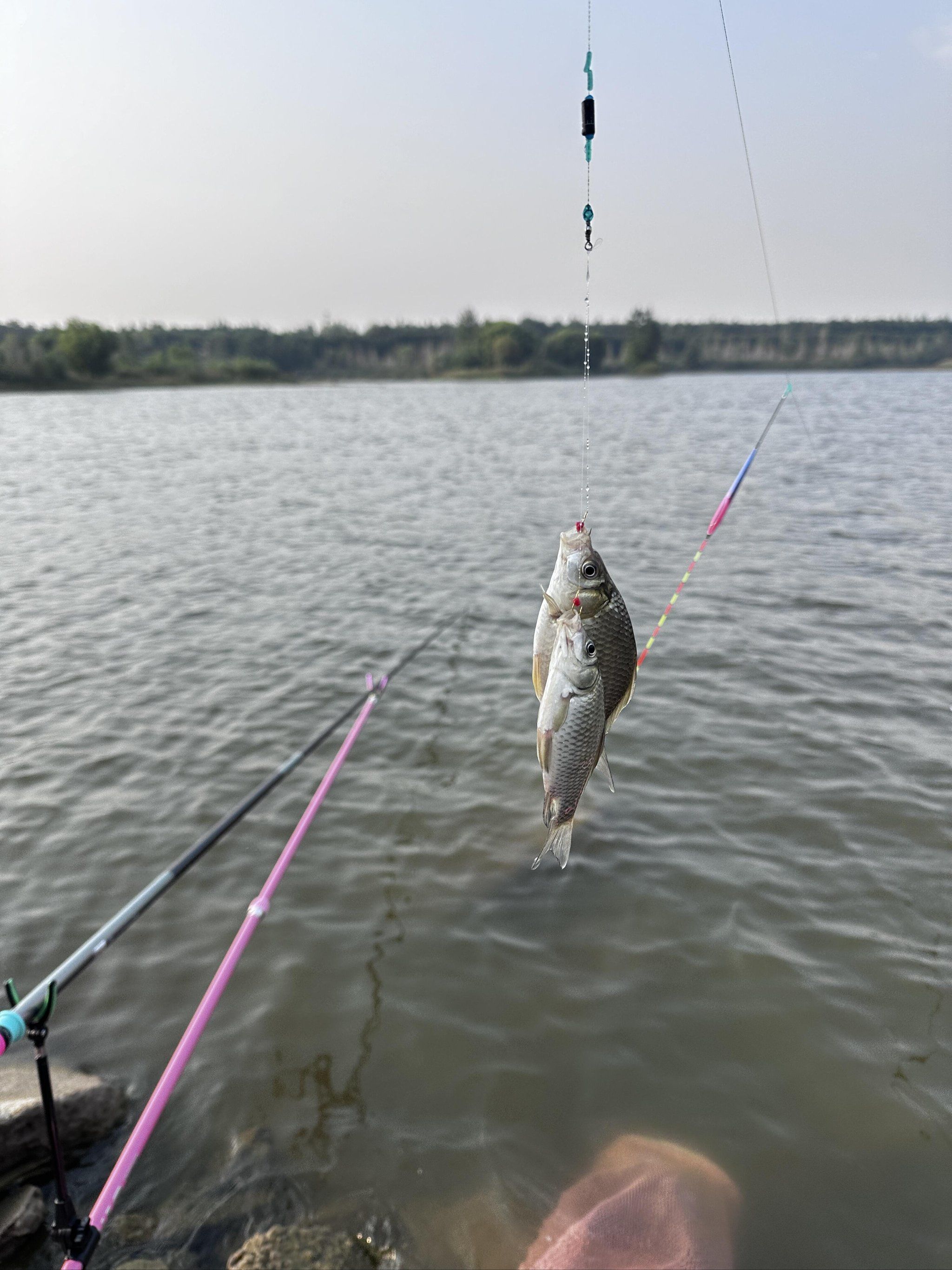 秋天去户外钓鱼