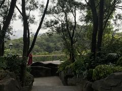 -金鸡山公园