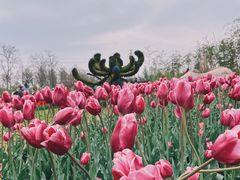 -陕西省西安植物园