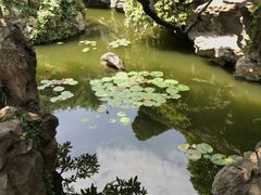 -何园