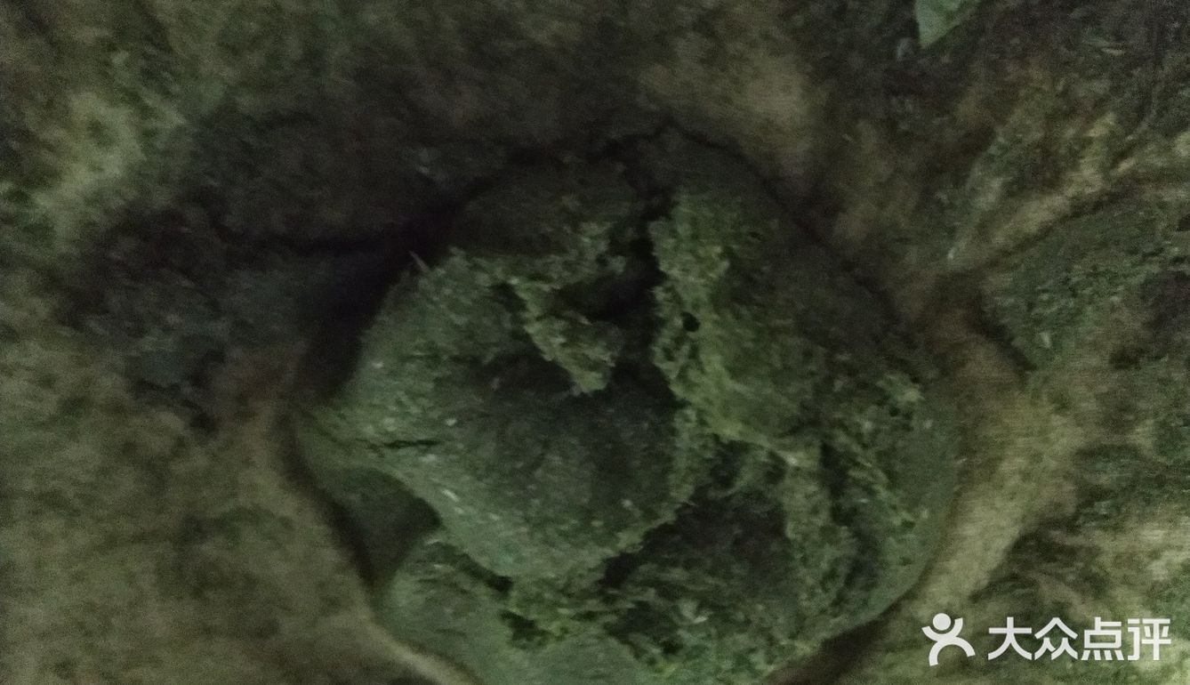 纯天然乌米饭