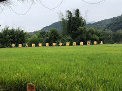 -香竹农庄•传统竹筒饭(十年店)