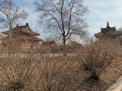-北陵公园