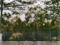 -鹤之洲湿地公园