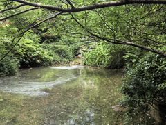 -杭州半山国家森林公园