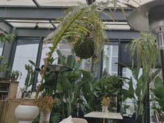 -PlantsEatery·植物食堂(REX春熙店)