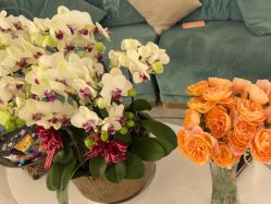 -雅曼妮spa美容养生