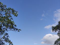 -海口火山口国家地质公园