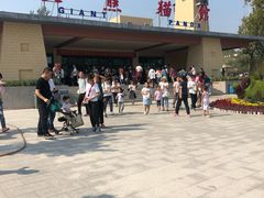 -石家庄市动物园