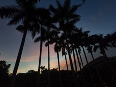 -三亚亚龙湾雅高铂尔曼别墅度假酒店