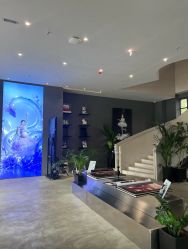 -十孕纪高端孕妇亲子摄影