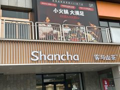 -雾与山茶(大禹城店)