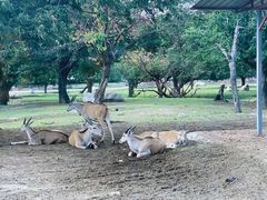 -西安秦岭野生动物园