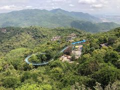 -亚龙湾热带天堂森林公园