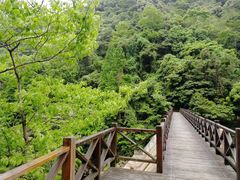 -宁海森林温泉