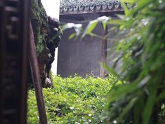 -乌镇东栅景区