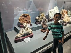 -湖南省地质博物馆