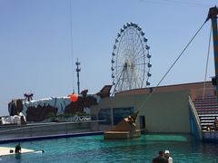 -秦皇岛乐岛海洋王国