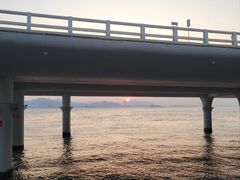 -演武大桥观景平台