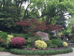 -杭州半山国家森林公园