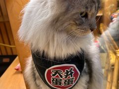 -天井·丑面包搭咖啡