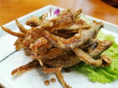 -赵小姐丨新中餐(曲江店)