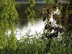 -大兴滨河森林公园