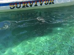 -东姑阿都拉曼海洋公园