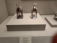 -太原市博物馆