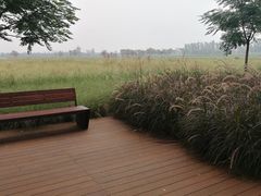 -汉长安城未央宫国家考古遗址公园