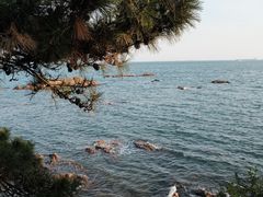 -青岛第二海水浴场