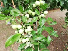 -火锅岛潮牌自助餐厅(天津天佑城店)