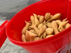 -第35届青岛国际啤酒节