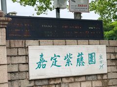 -嘉定紫藤园