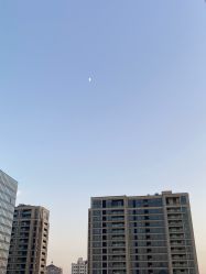 -杭州复旦儿童医院·语言发育迟缓·自闭症干预·注意力训练