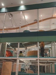 -奈尔宝家庭中心·亲子餐厅(鄞州万达店)