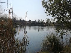 -桤木河湿地公园