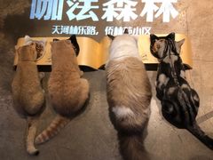 -咖法森林·咖啡  酒吧(天河店)